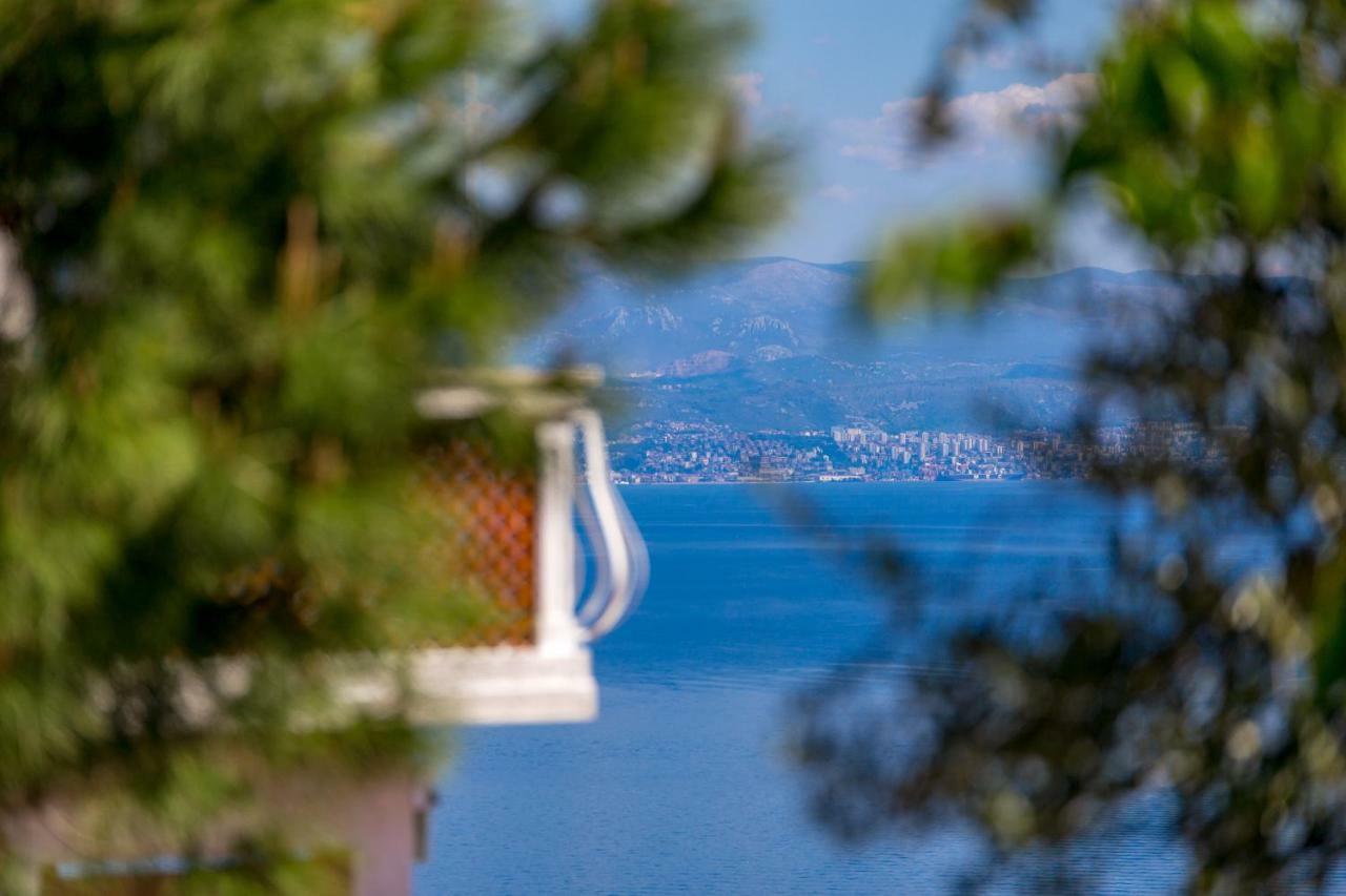 Apartments Davor Mošćenička Draga エクステリア 写真